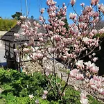 Hotel Boutiquehotel Am Kurpark Baden