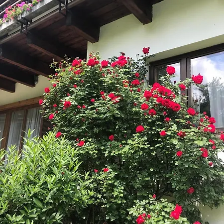 Boutiquehotel Am Kurpark