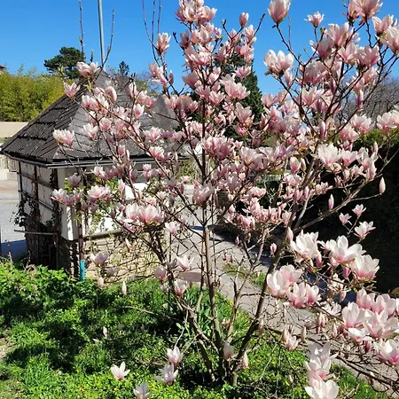 Apartamento Am Kurpark Baden