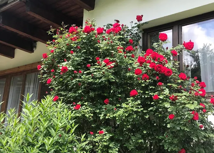 Boutiquehotel Am Kurpark