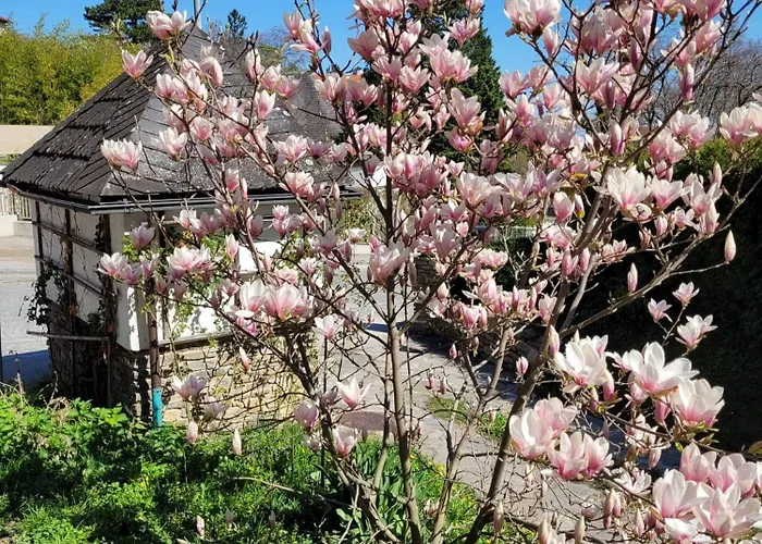 Hotel Boutiquehotel Am Kurpark Baden